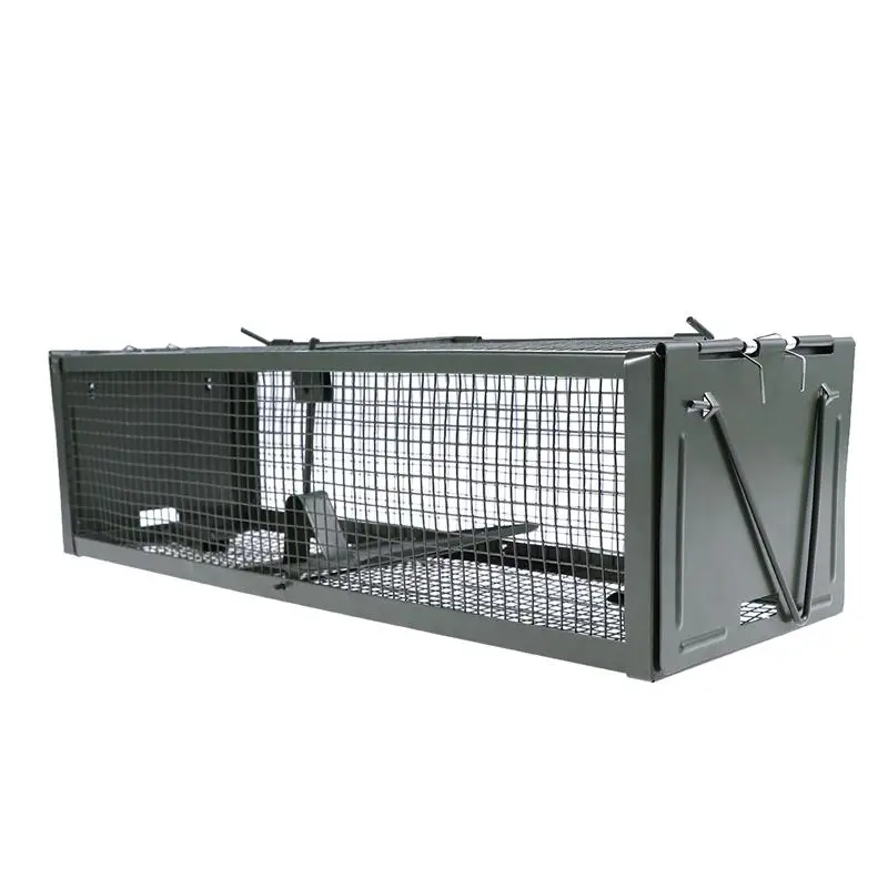 Cage capture rongeurs métal – Piège réutilisable – Image 8